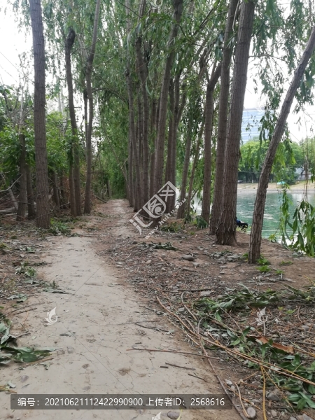 林間小路