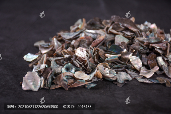 石決明