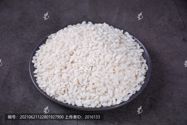 魚腦石