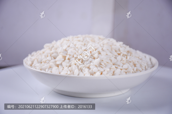 魚腦石