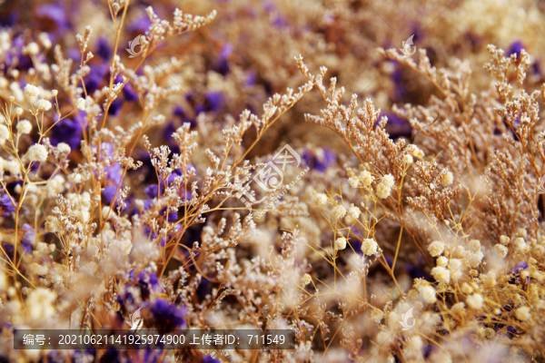 素雅花枝背景