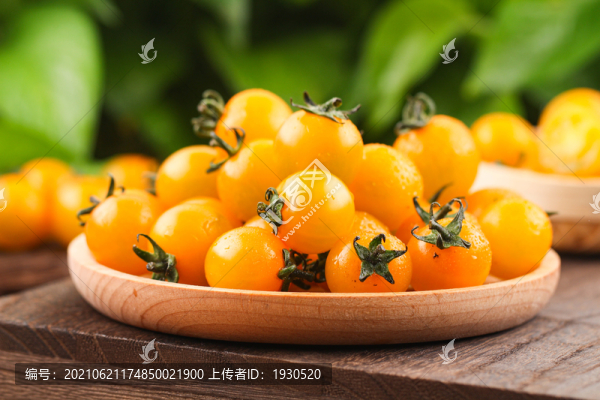 黃櫻桃番茄
