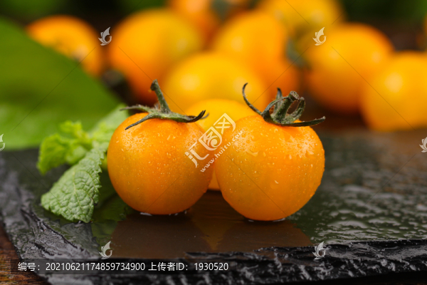 黃櫻桃番茄