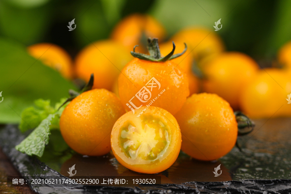 黃櫻桃番茄
