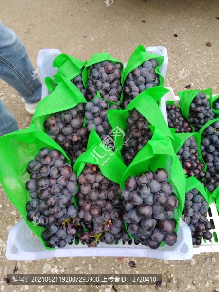 賣(mài)葡萄