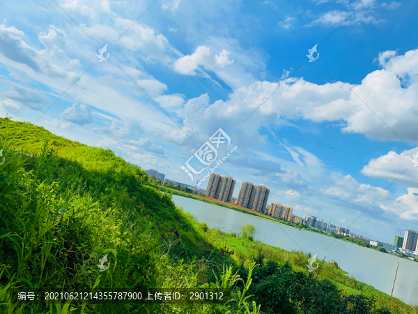 藍天白云草地