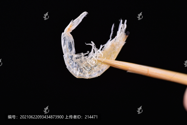 蝦皮