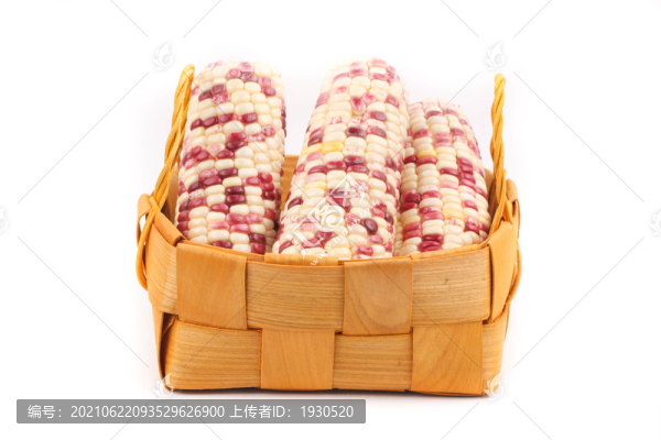 花玉米