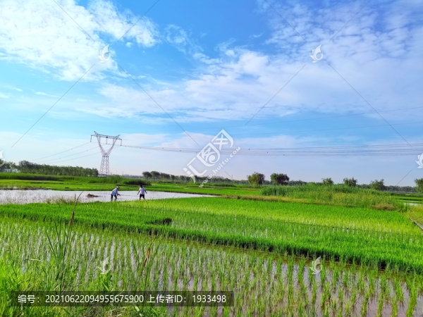 田園風(fēng)光