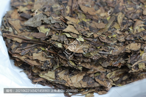 白茶茶餅