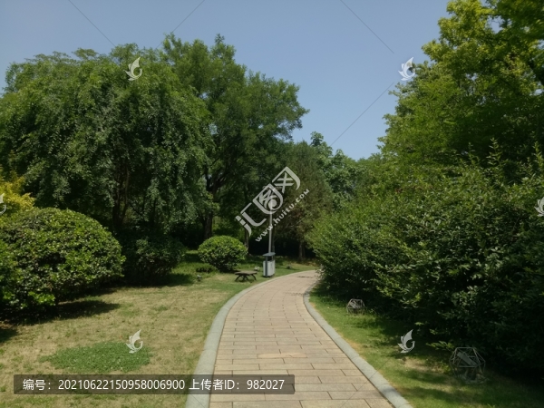城市公園