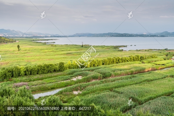 草海