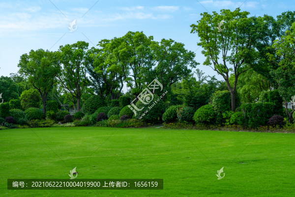 綠草地