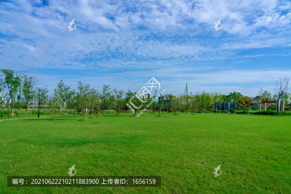 綠草地