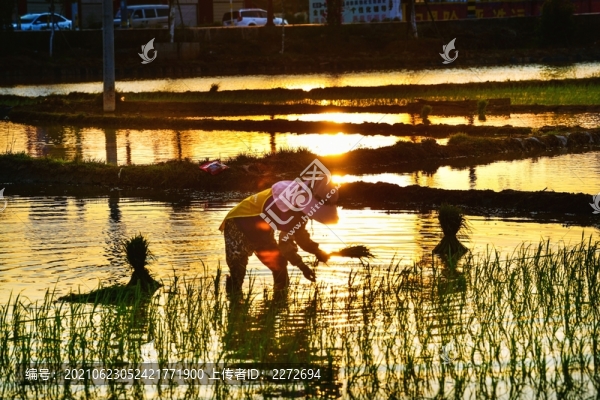 追趕太陽(yáng)