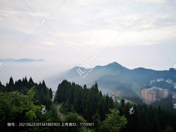 晨霧