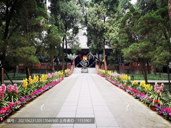 武侯祠風(fēng)光