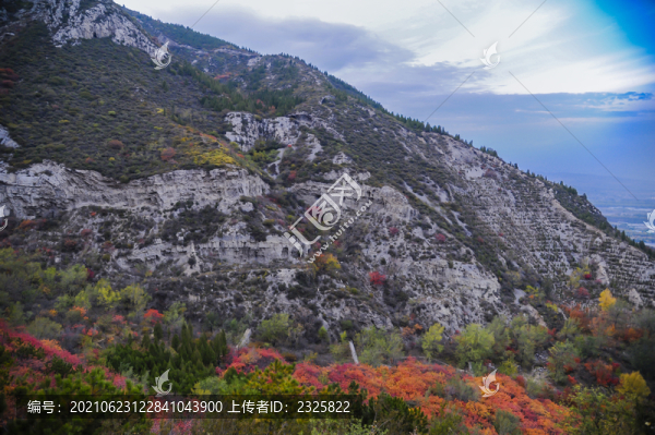 秋天紅葉