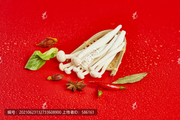 金針菇