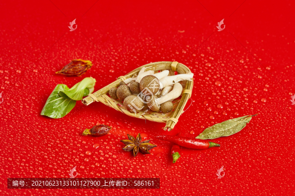 蘑菇