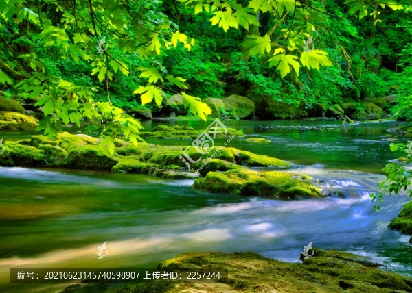 溪流河流