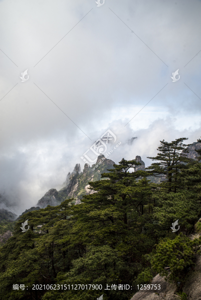 黃山云海