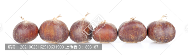 一排板栗
