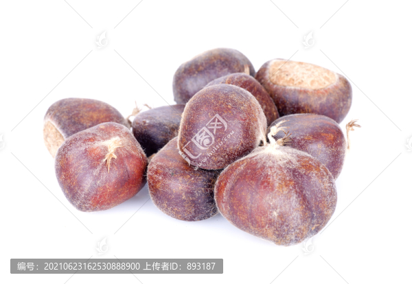 一堆新鮮板栗