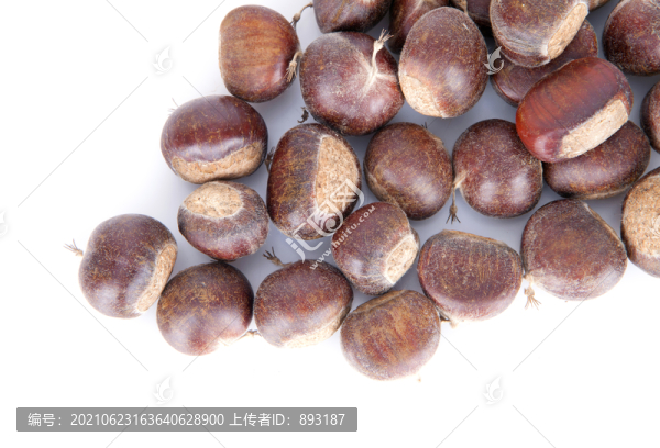 新鮮的板栗