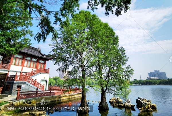 莫愁湖
