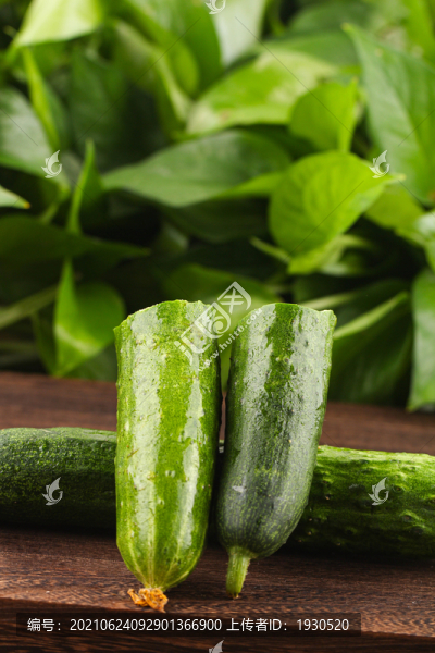 黃瓜-匯圖網(wǎng) www.fosd68.com 黃瓜