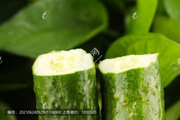 黃瓜