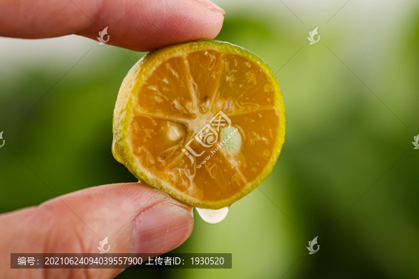 青金桔