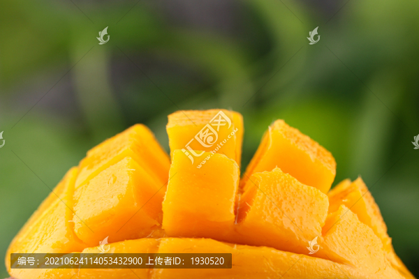 臺(tái)芒