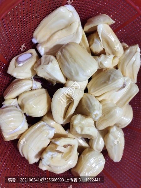 菠蘿蜜