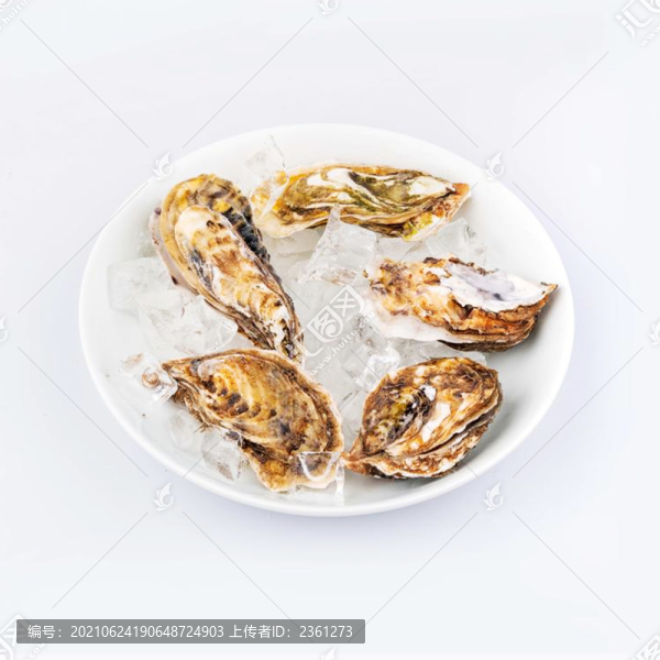 保鮮生蠔