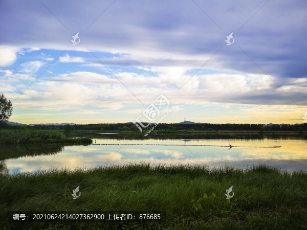 郊野