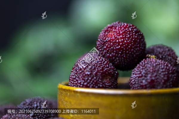 新鮮的楊梅