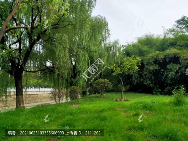 公園