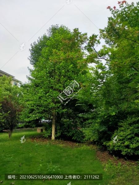 公園