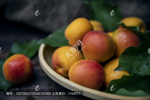 新鮮酸甜的杏子