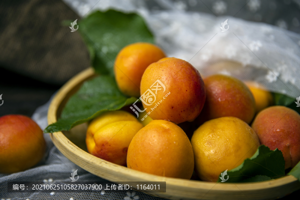 新鮮酸甜的杏子
