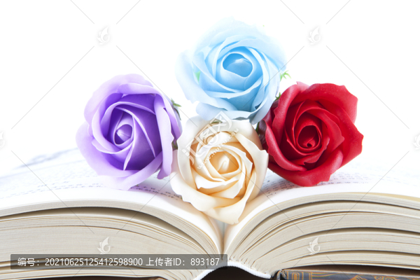 書本上的玫瑰花