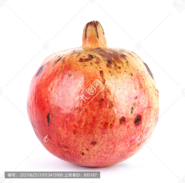 紅石榴