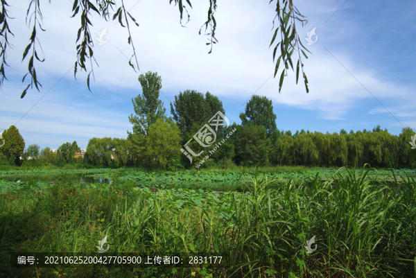 房山區(qū)長溝濕地公園