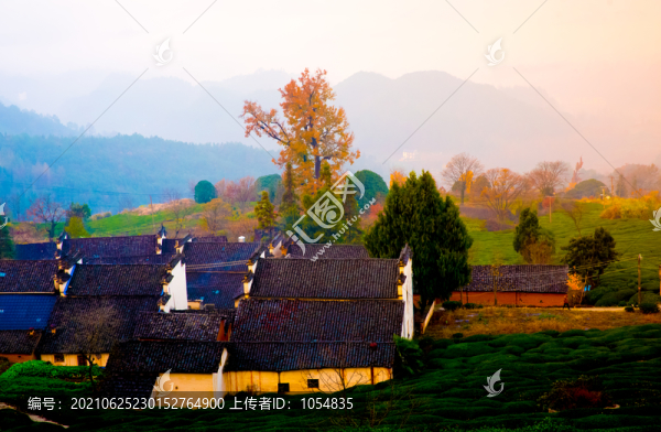 山村