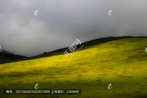 草原美景