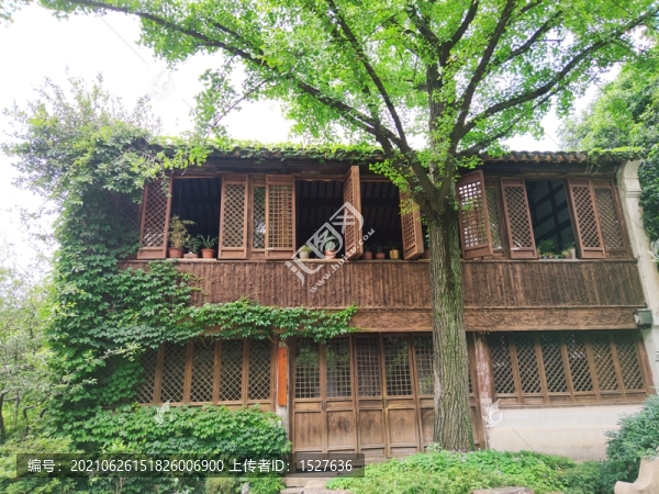 惠山古鎮(zhèn)內古樹和古建筑