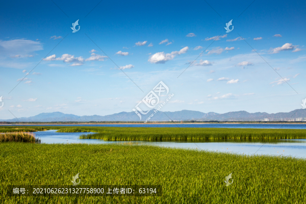 官廳水庫濕地