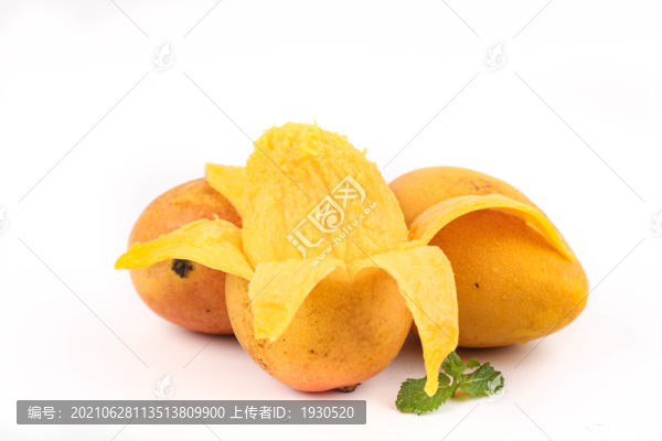 小臺芒